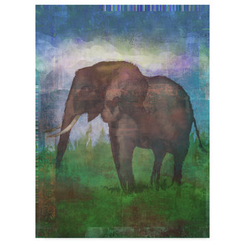 Greg Simanson 'Africa Elephant' Canvas Art, 24"x18"