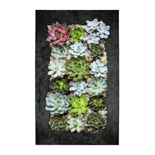 Living Wall
