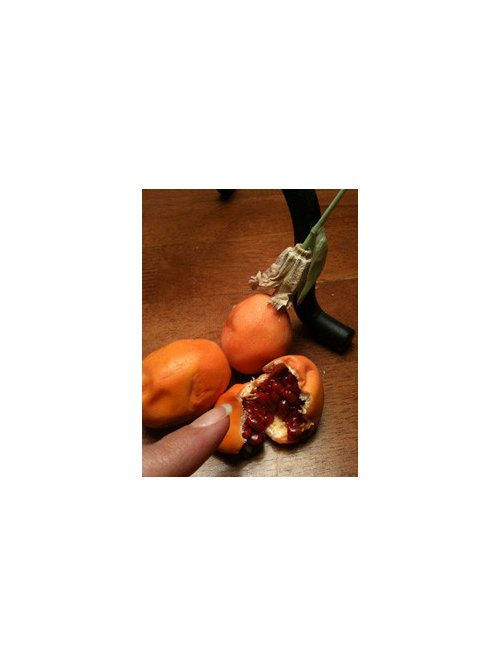 Need Help Identifying Soft Orange Fruit With Red Seeds