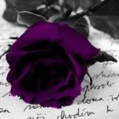 Ana Cavaco's photo