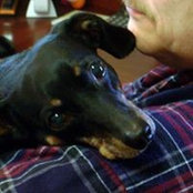 Tracy Esper's photo