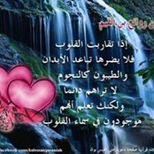 Foto von Ghonim El Behiry