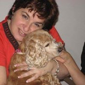 Susan Giammarino's photo