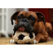 Christopher Cummings's photo