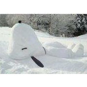 BJ Collins Brame's photo