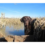 Todd Morton's photo