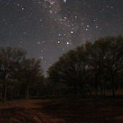Kelly Tully's photo