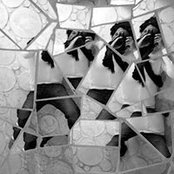 Flavio Roncato's photo