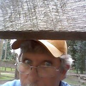 Lee McLaughlin's photo