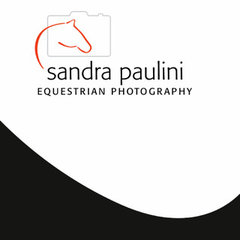 Sandra Paulini - Equestrian Photography