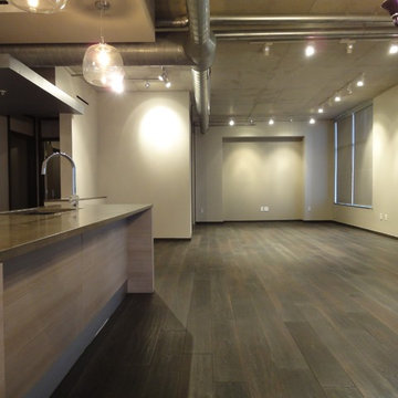 12 Galleria Lux Loft