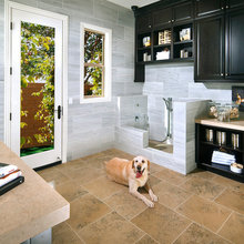 Dog Shower