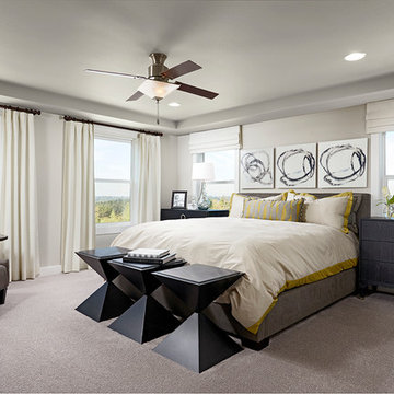 Daley model home in Washington