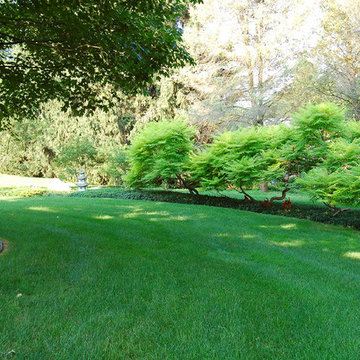 Lancaster planting