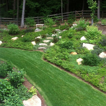 Slope Plantings and Boulders