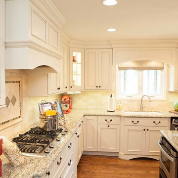 Italian Contemporary Kitchen in Hoffman Estates