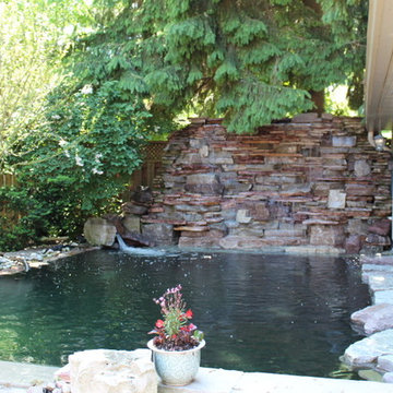 rons back yard