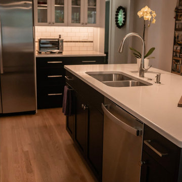 Whole House Remodel: Ann Arbor Hills