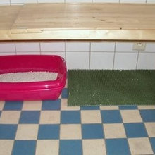 Litter Box ideas