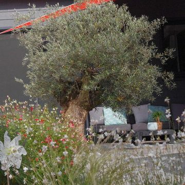 déco maison bois très basse consommation