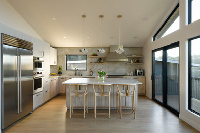 Kitchen - contemporary kitchen idea in San Francisco