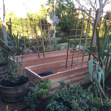 Backyard farm theme garden