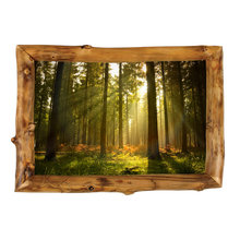 Paintings