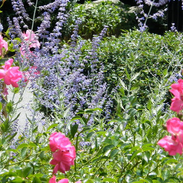Perennial Gardens