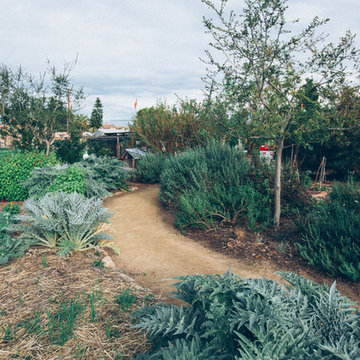 The Ecology Center