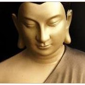 Elke Diefendorf's photo