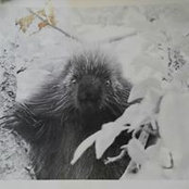 Mere van Loon's photo
