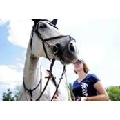 Liz Stronach's photo
