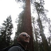 Ben Woods's photo