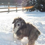 Magda Hirata's photo