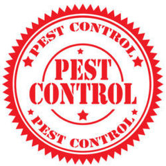 Restaurant Pest Control Brisbane
