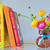 Nova Williams's photo