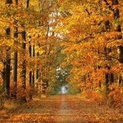 Buffy Campbell's photo