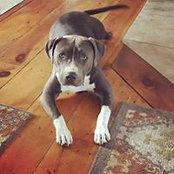 Kelly Cudak's photo