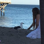 Lama Shakar's photo