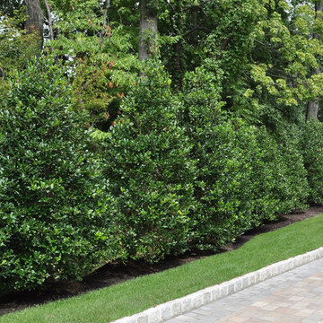 Tenafly Elegant Landscape