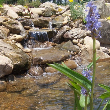 Water Features