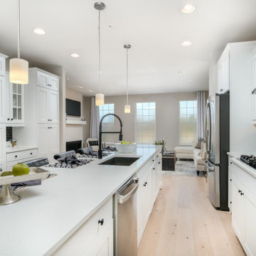 The Monument Series - Potomac Overlook Townhomes in National Harbor, MD