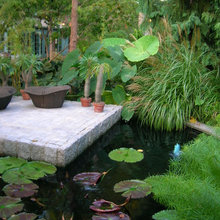 water - pond