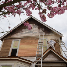 Exterior Ideas