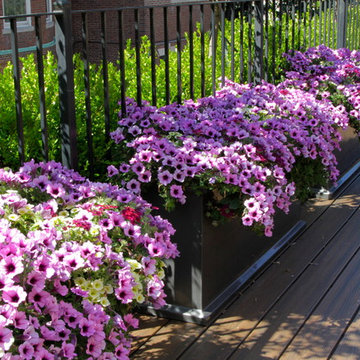 Beacon Hill Roof Terrace