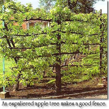 Permaculture/Farms