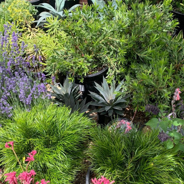 Landscape Designs