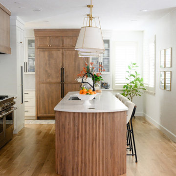 Modern kitchen with French Country detail