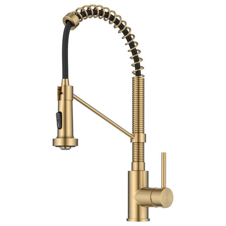 Bolden Commercial Style 2-Function Pull-Down 1-Handle 1-Hole Kitchen Faucet, Brushed Brass