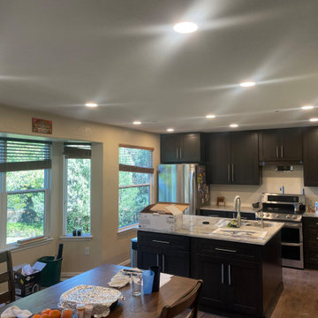 Castle Rock 23-Day Kitchen Remodel